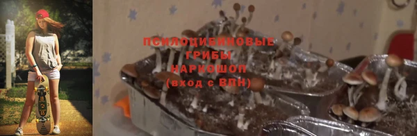 ECSTASY Алзамай