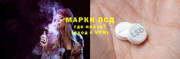 ECSTASY Алзамай