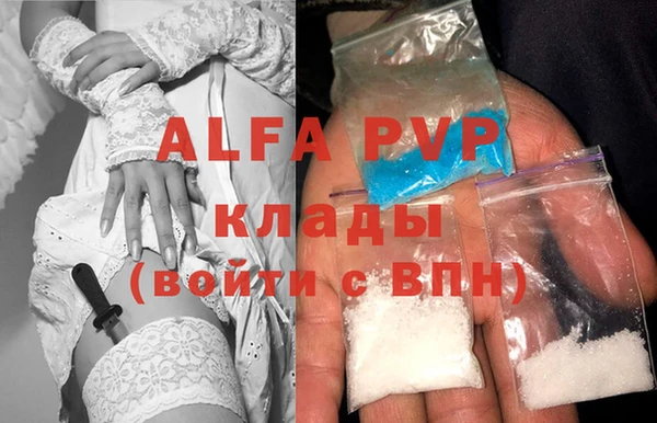 ECSTASY Алзамай